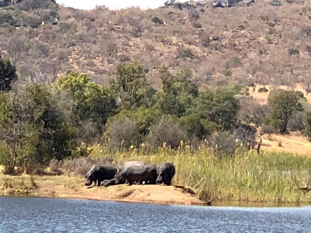 Kuwisa Lodge ベラ・ベラ エクステリア 写真