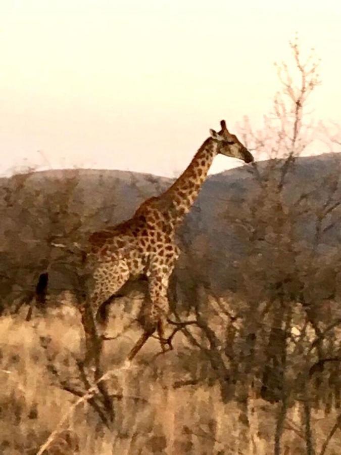Kuwisa Lodge ベラ・ベラ エクステリア 写真
